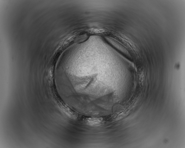 X0000100930373200807011227