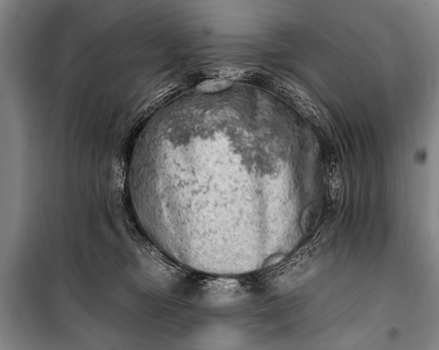 X0000100930374200807011227