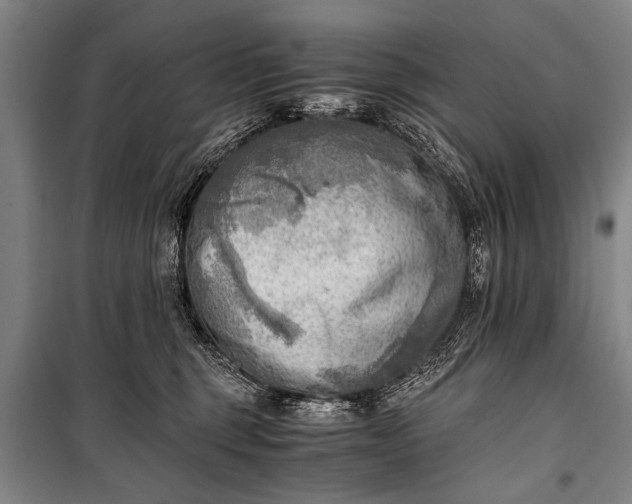 X0000100930375200807011227