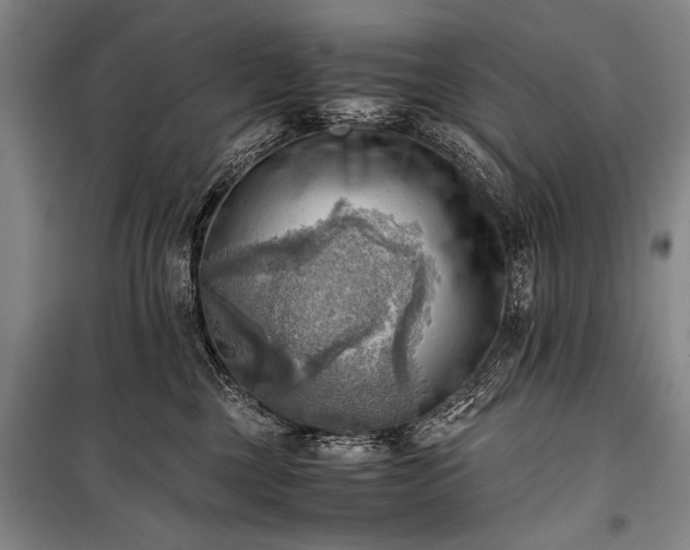 X0000100930377200807011227