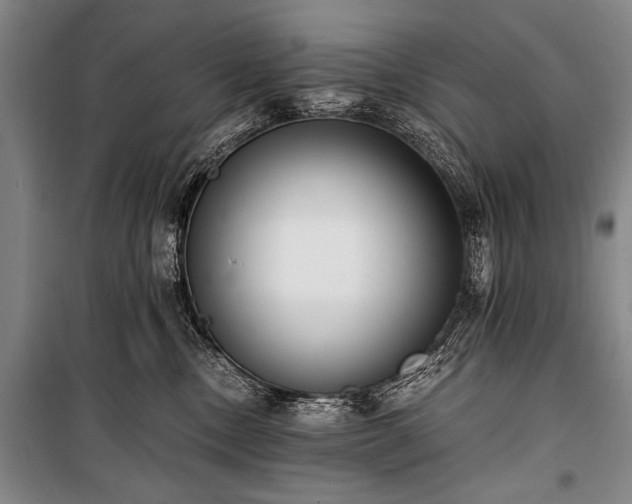 X0000100930378200807011227