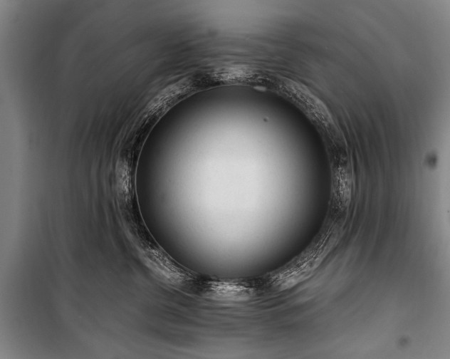 X0000100930380200807011227