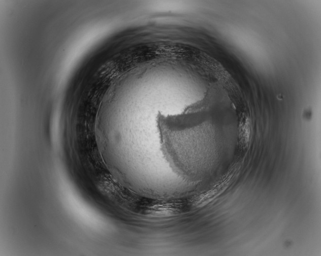 X0000100930381200807011227