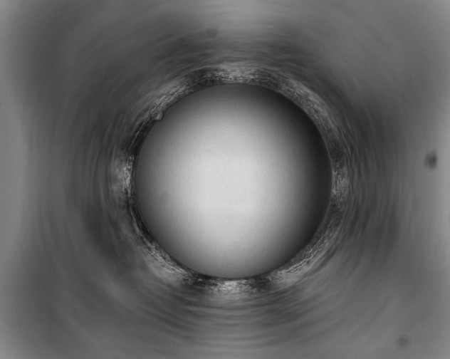 X0000100930382200807011227