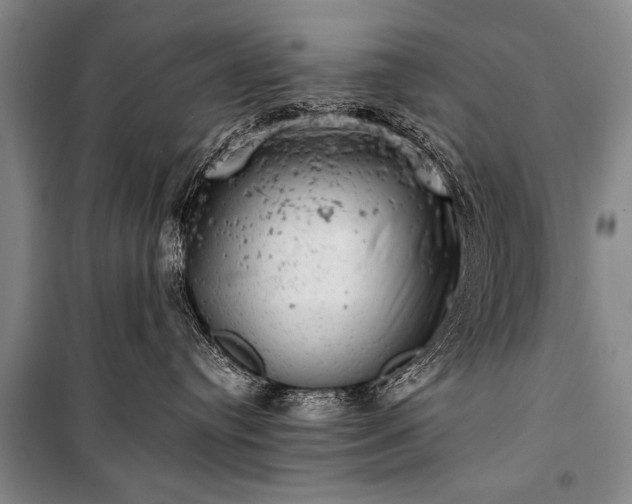 X0000100930384200807011227