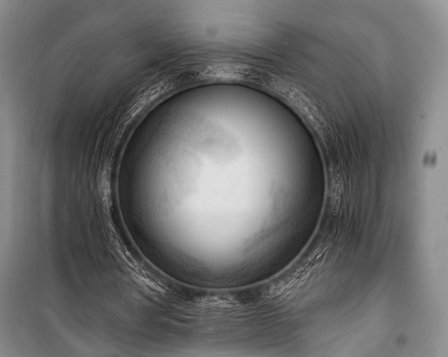 X0000100930386200807011226