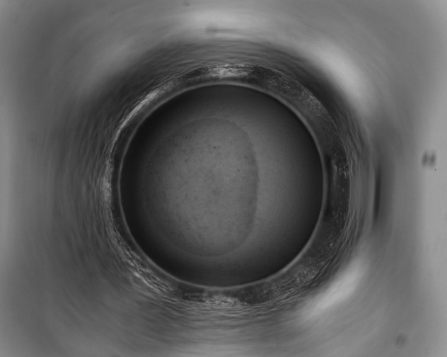 X0000100930387200807011226