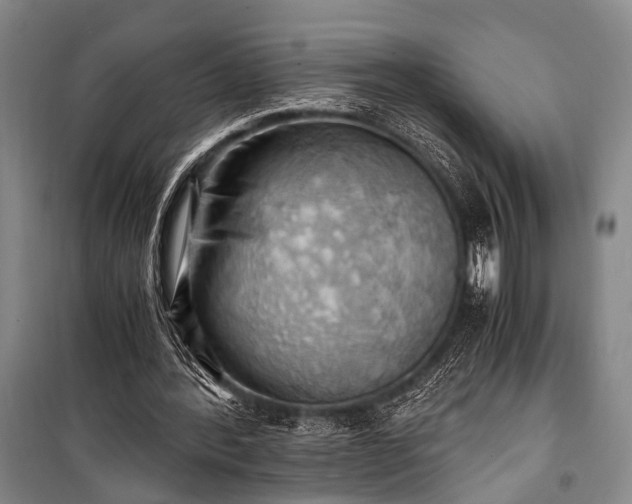 X0000100930388200807011226