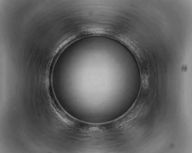 X0000100930390200807011226