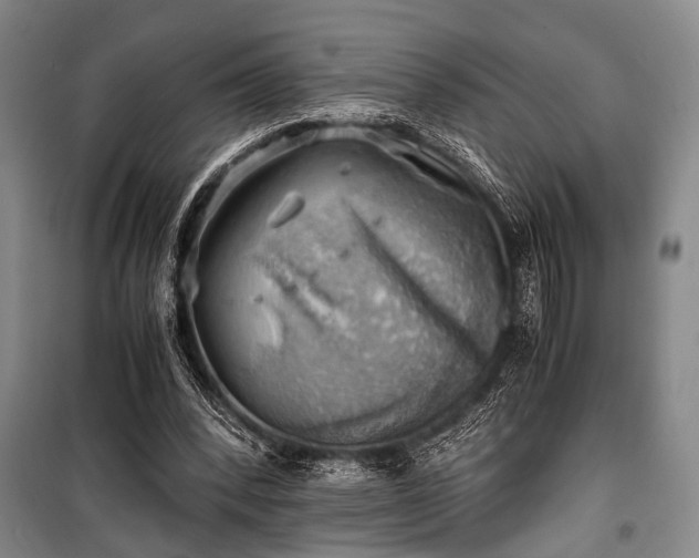 X0000100930392200807011226