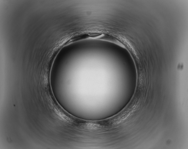 X0000100930393200807011226