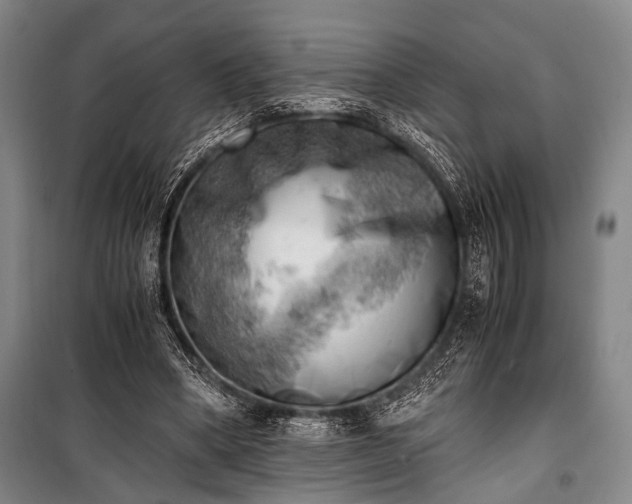 X0000100930394200807011226