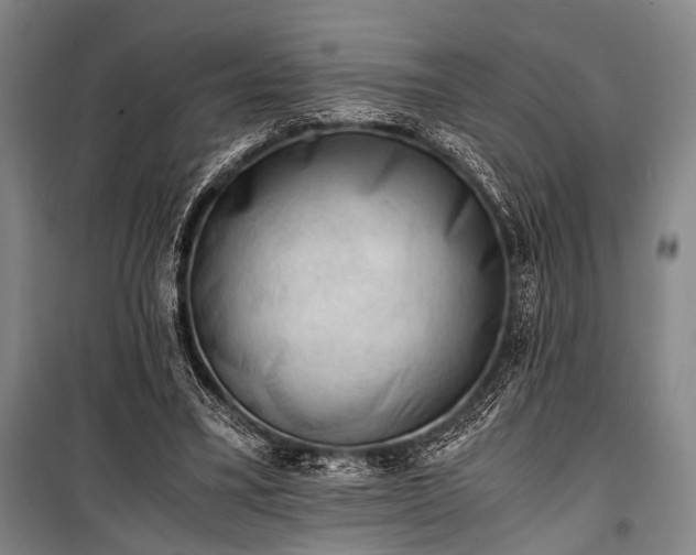 X0000100930395200807011226