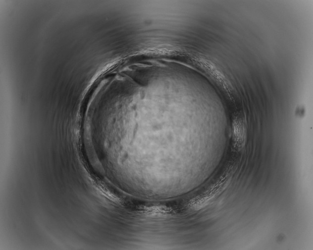 X0000100930396200807011226