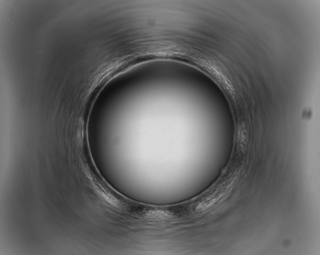 X0000100930397200807011226