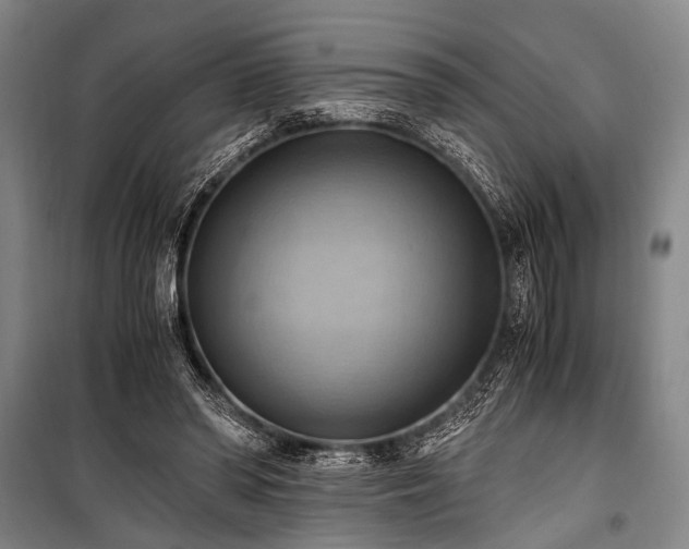 X0000100930398200807011226