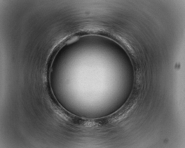 X0000100930399200807011226