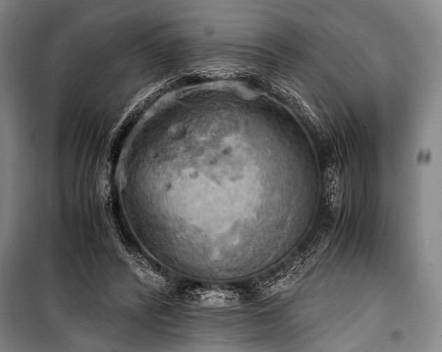 X0000100930400200807011226