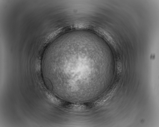 X0000100930401200807011226