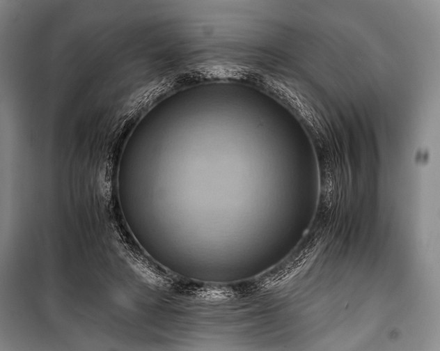 X0000100930402200807011226