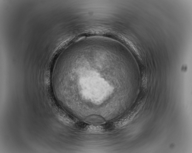 X0000100930403200807011226