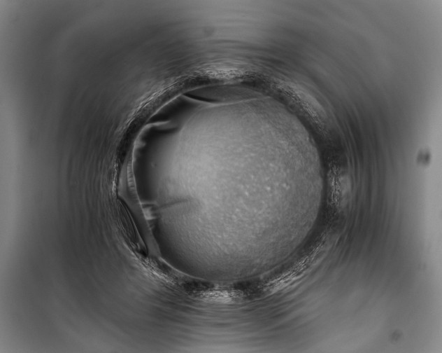 X0000100930404200807011226