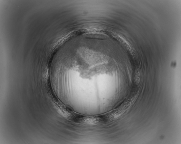 X0000100930405200807011226