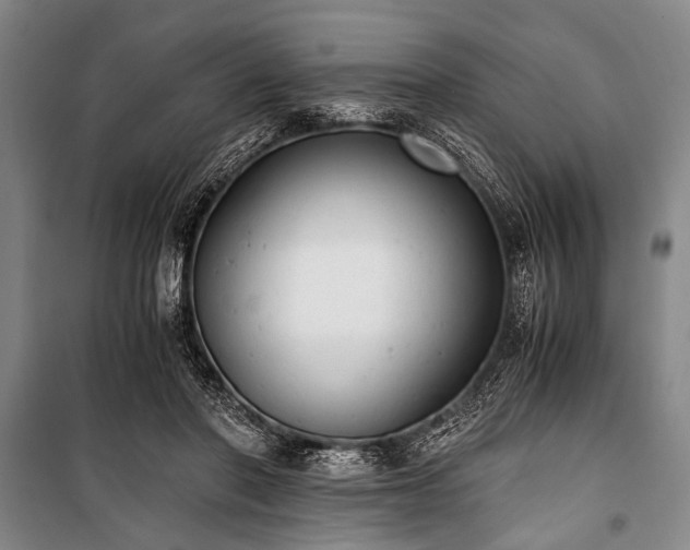 X0000100930406200807011226