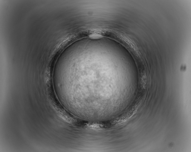 X0000100930407200807011226