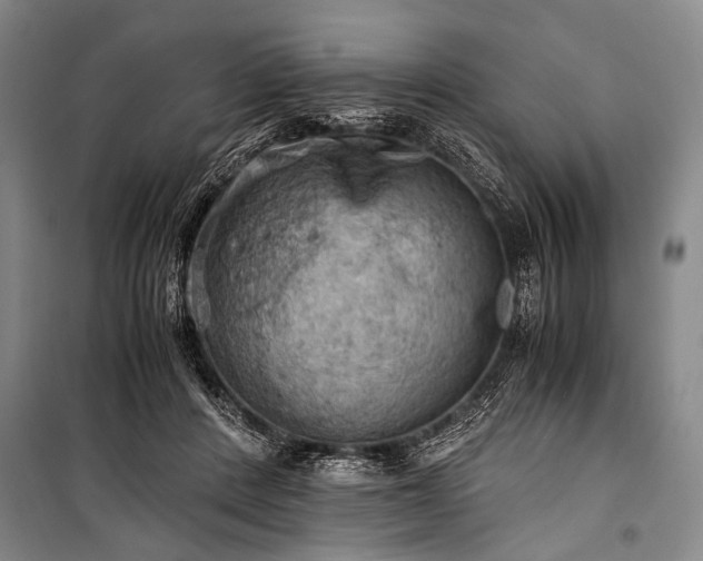 X0000100930408200807011226