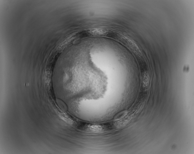 X0000100930409200807011226