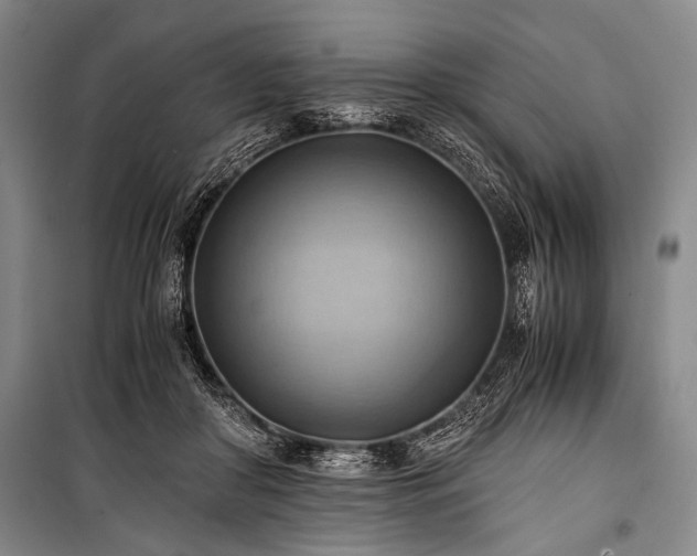 X0000100930410200807011226