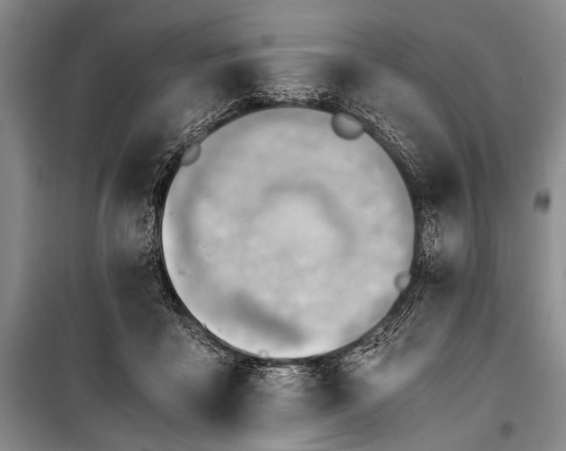 X0000100930411200807011226