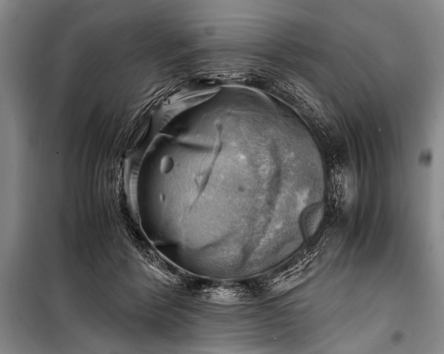 X0000100930412200807011226