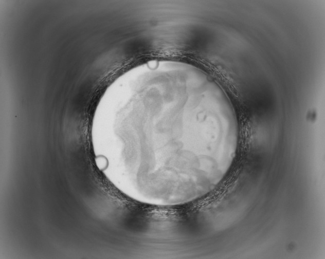 X0000100930415200807011226