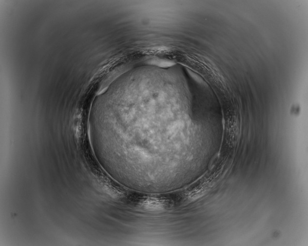 X0000100930416200807011226