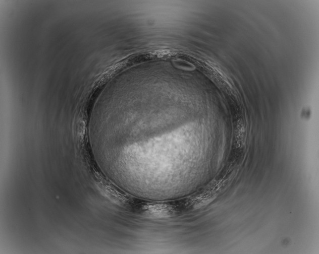 X0000100930417200807011226