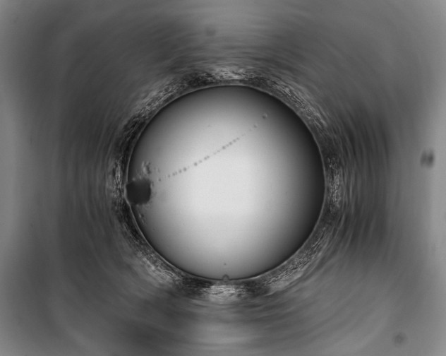 X0000100930418200807011226