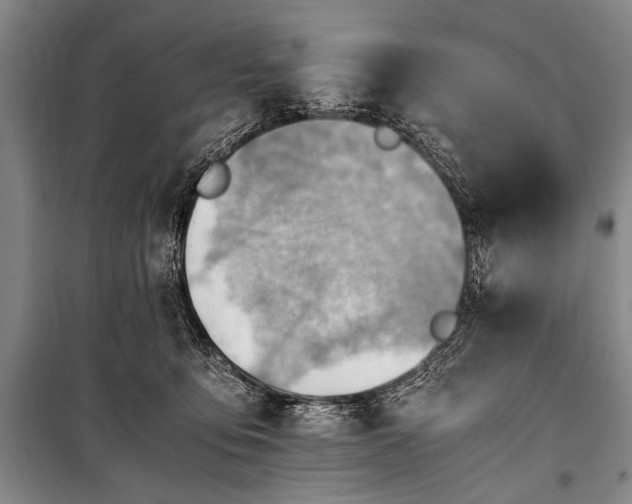 X0000100930419200807011226