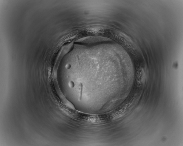 X0000100930420200807011226