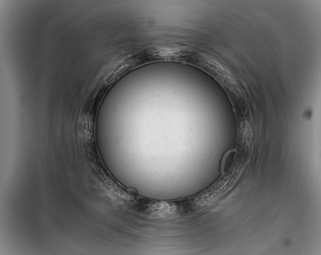 X0000100930421200807011226