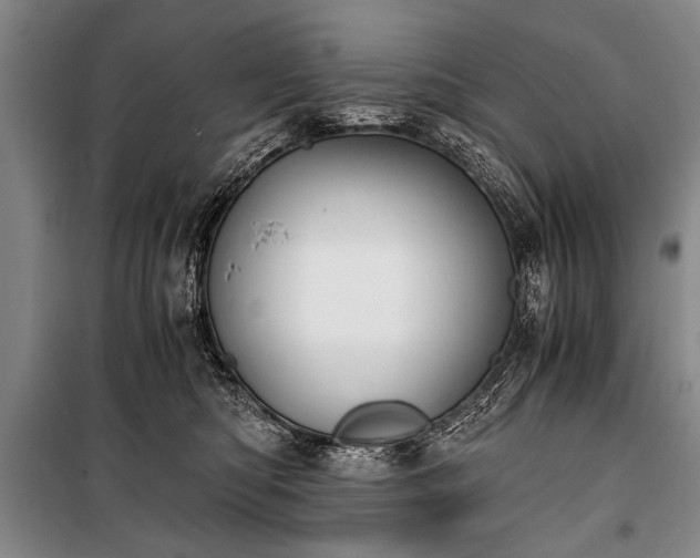 X0000100930422200807011226