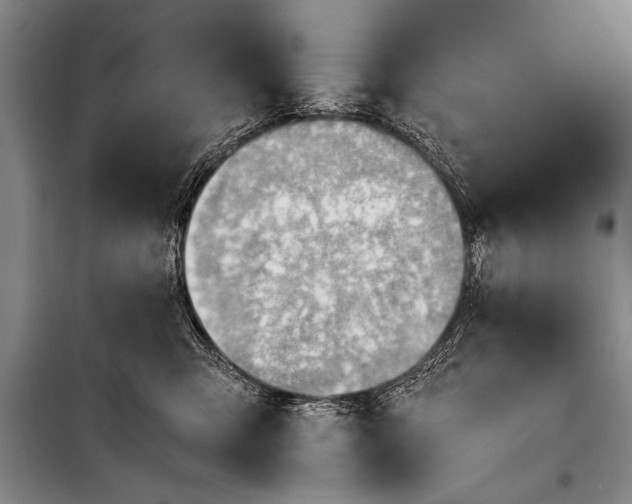 X0000100930423200807011226