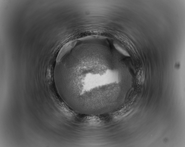 X0000100930424200807011226