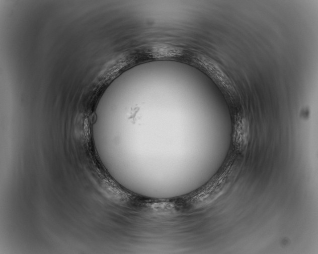 X0000100930426200807011226