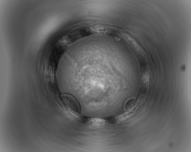 X0000100930429200807011226