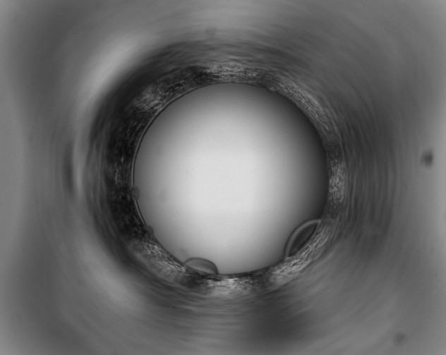 X0000100930430200807011226