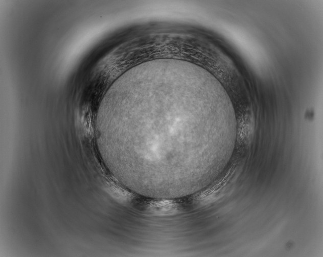 X0000100930431200807011226