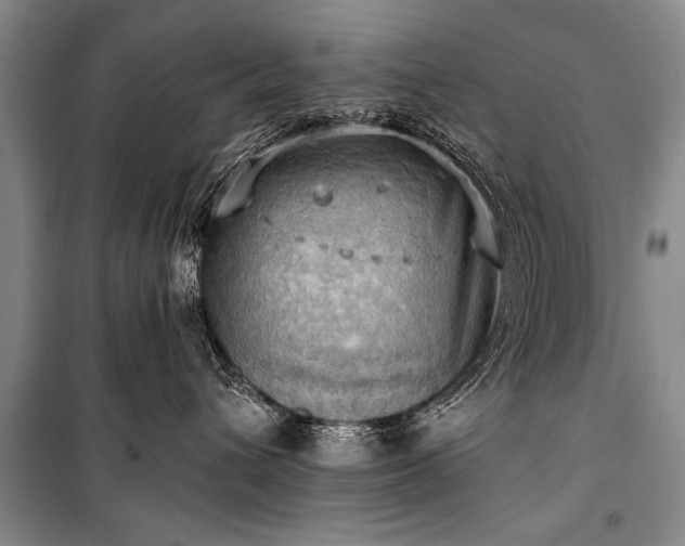 X0000100930432200807011226