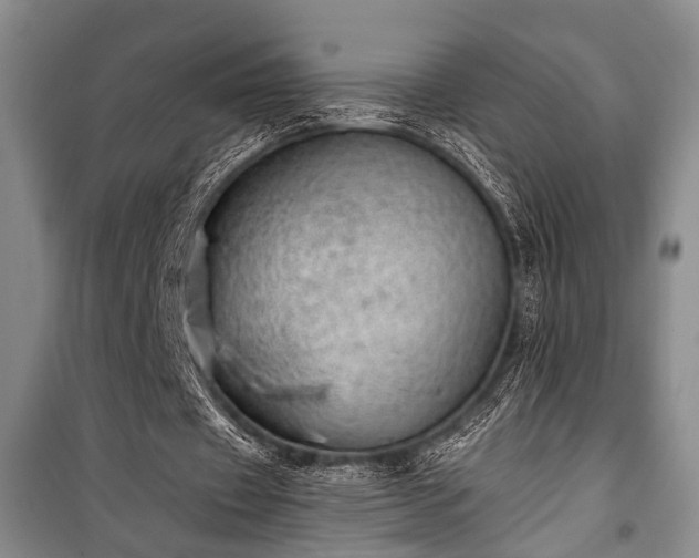 X0000100930433200807011225